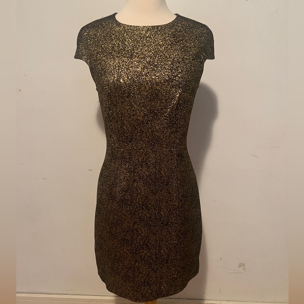 DVF Glitter Dress